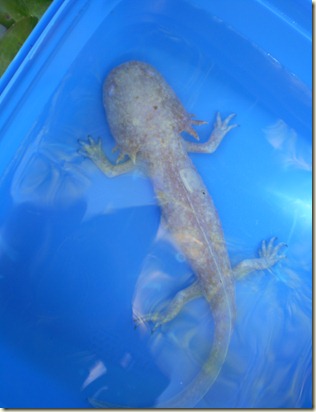 november 2010 002