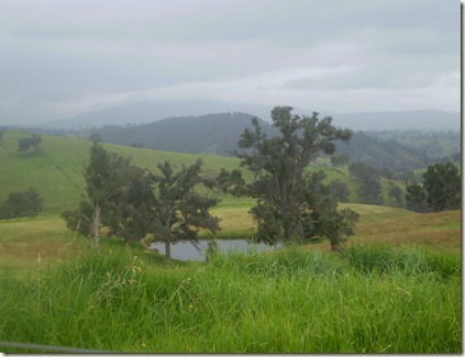 december 2010 043