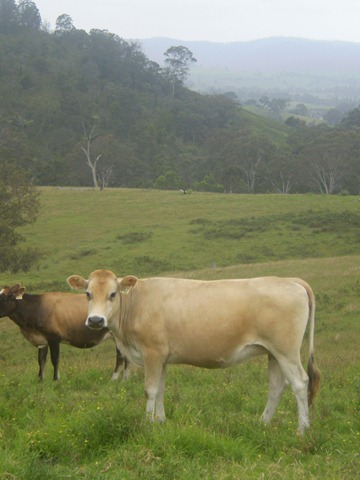[december20100564.jpg]