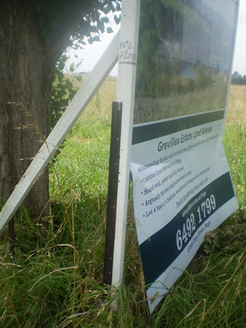 [december20100243.jpg]