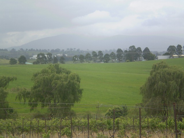 [december20100283.jpg]