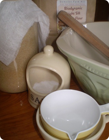 january 2011 067