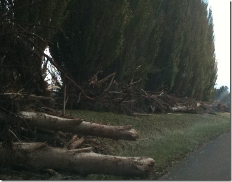 [flood-march-2011-054_thumb1.jpg]