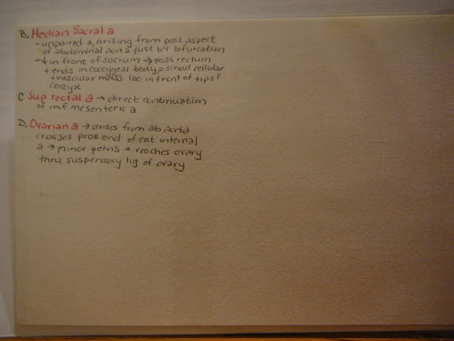 Blood Supply 2