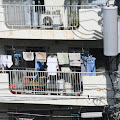 IMG_2195.JPG