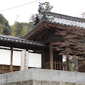 Kurashiki-23.JPG