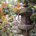 Kurashiki-72.JPG