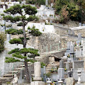 onomichi-5.JPG
