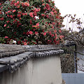 onomichi-28.JPG