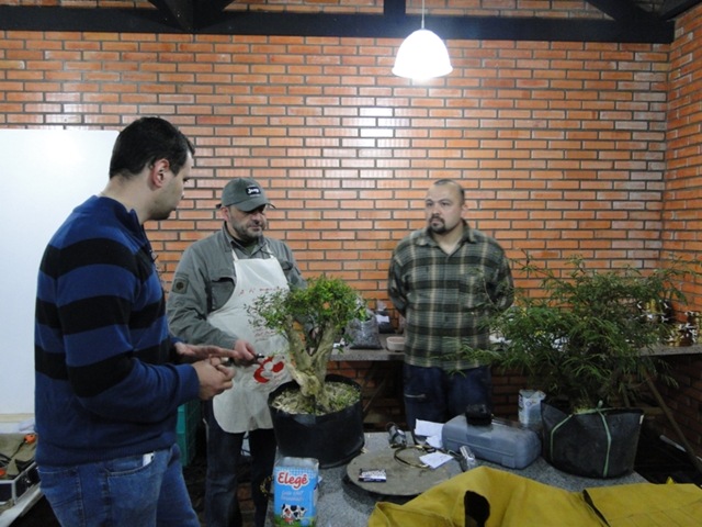 [DSC01470 Tamanho reduzido[14].jpg]