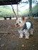 PAP_0025.JPG