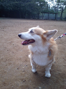 PAP_0023.JPG