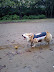 CA350081.JPG