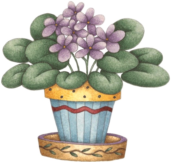 [Violet Flower Pot[5].jpg]