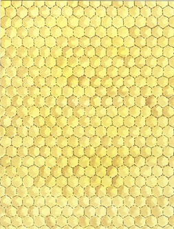 BGD Honeycomb