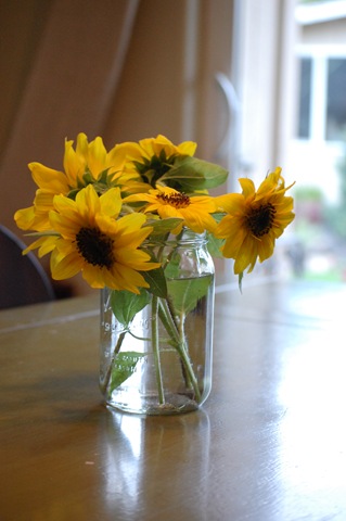 [2010 08 29_0703[2].jpg]