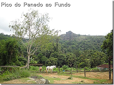 Pico do Penedo dez09 Pico do Penedo dez09