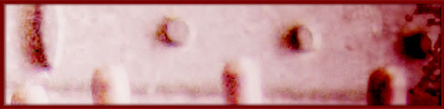 bm02.jpg