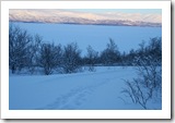 IMG_9811