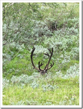 IMG_0447 IMG_0447