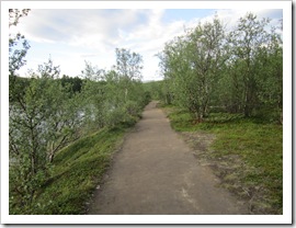 IMG_0536 IMG_0536