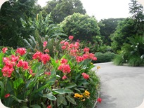 Botanical Gardens