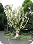 Botanical Gardens