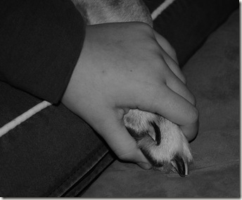 DSC_0352