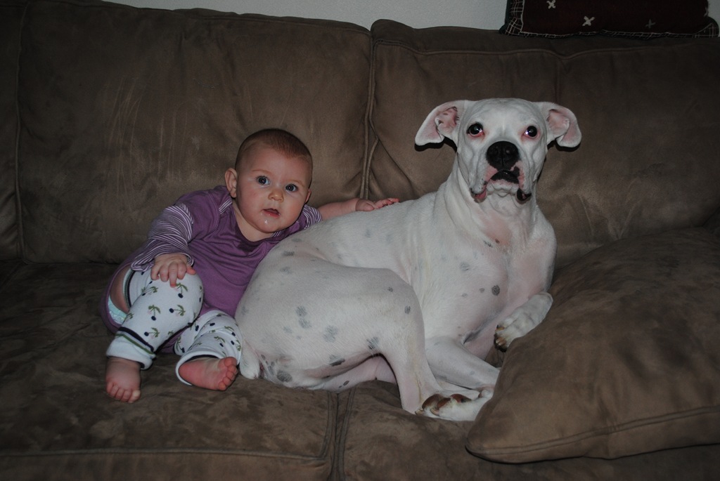 [DSC_0185[5].jpg]