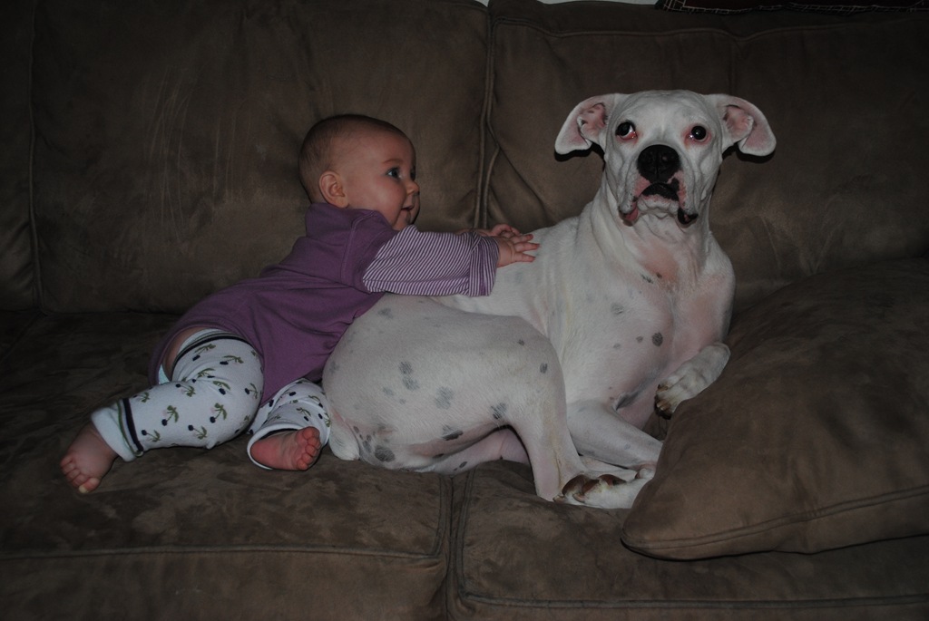 [DSC_0186[4].jpg]