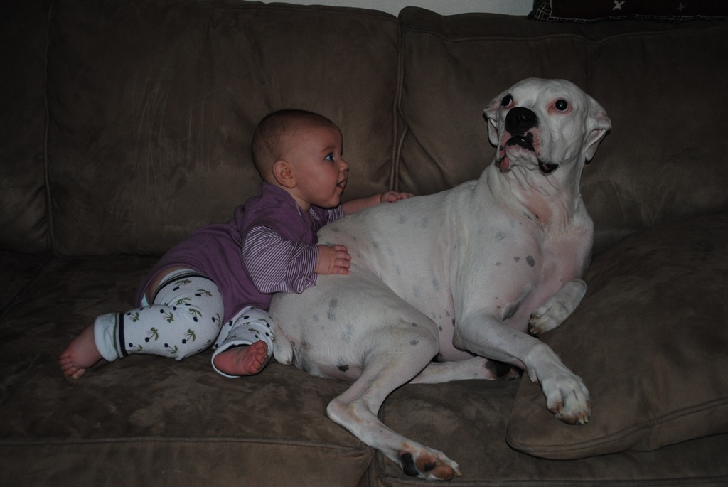 [DSC_0188[4].jpg]
