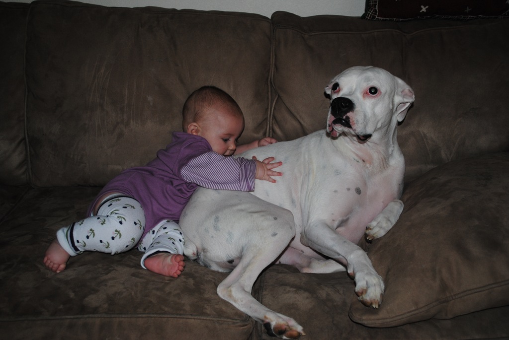 [DSC_0187[6].jpg]