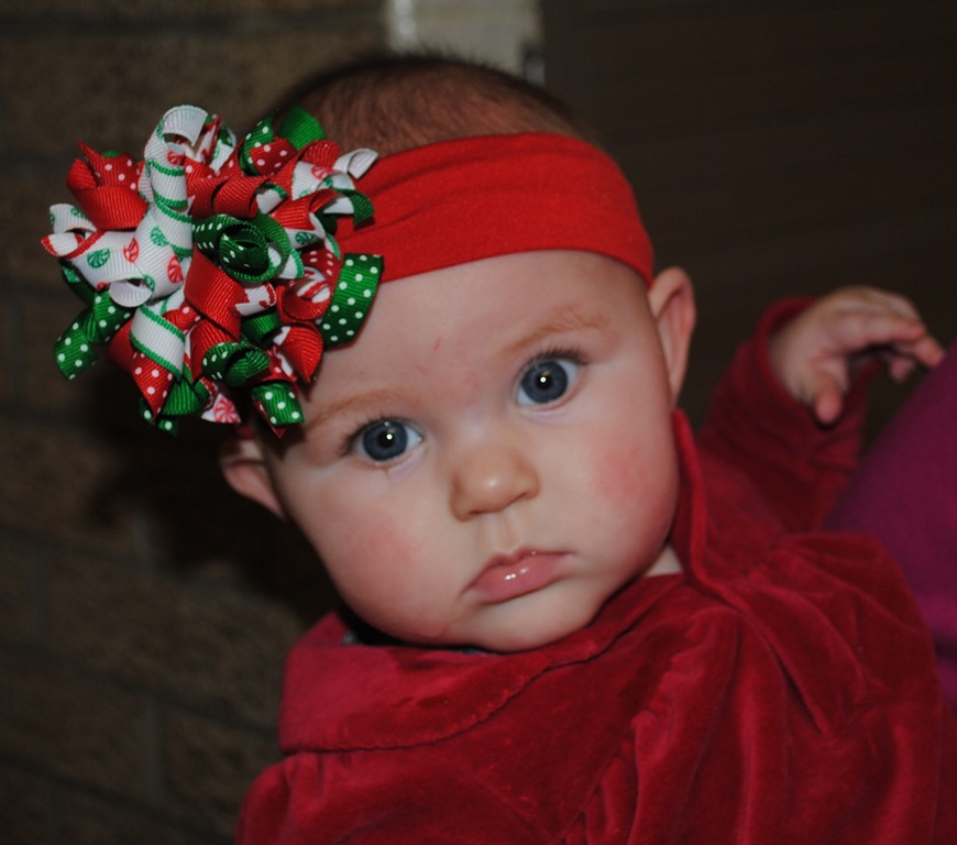 [DSC_0373[17].jpg]
