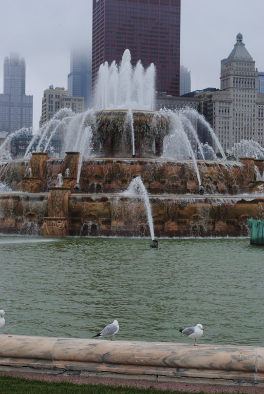 [DSC_0592[4].jpg]