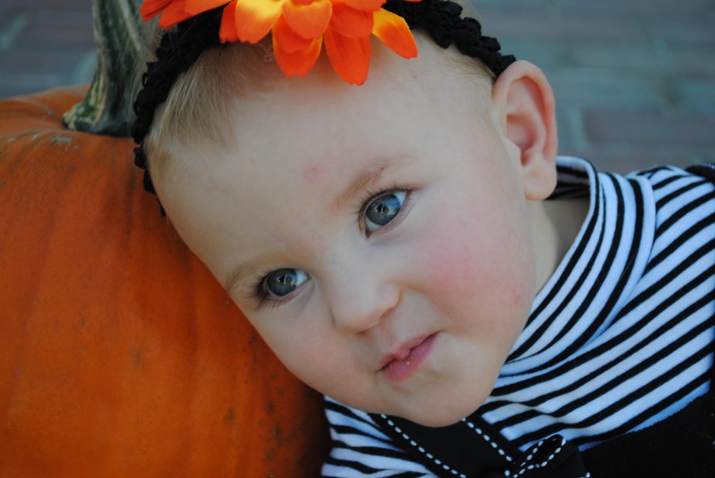 [Ava pumkin[4].jpg]