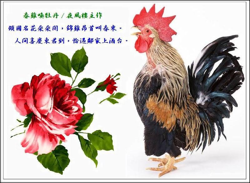 圖檔