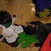 PB170144.JPG