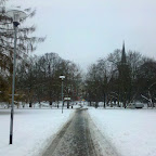 2010-12-22_09-00-39_410.jpg