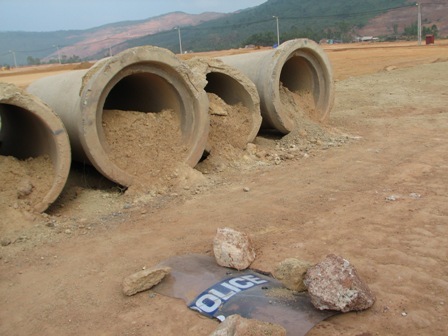[nh43.jpg]