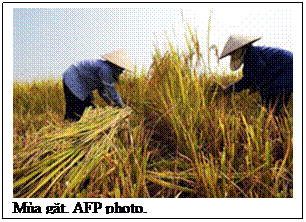 [clip_image004[4].gif]