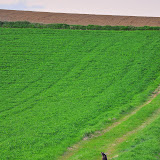 DSC_0203.jpg DSC_0203.jpg