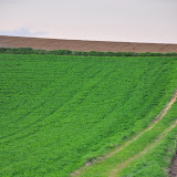 DSC_0203.jpg DSC_0203.jpg