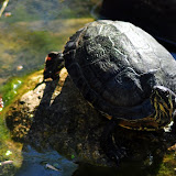 Tierpark Hellbrunn Tierpark Hellbrunn