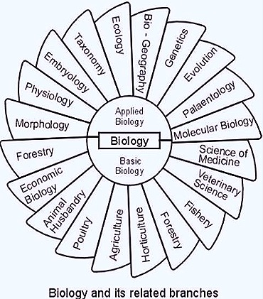 branchesof-biology