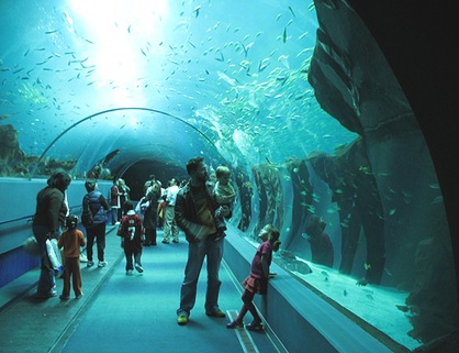 Largest-Aquariumin-world
