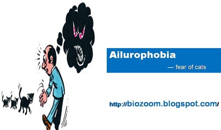 ailurophobia1