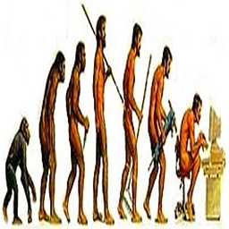 evolution-of-man evolution-of-man
