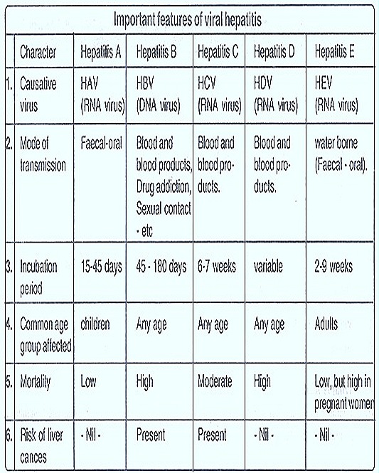 HEPATITIS-TYPES