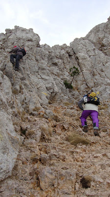 Grimpadas antes de la cima