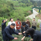 DSC07069.JPG